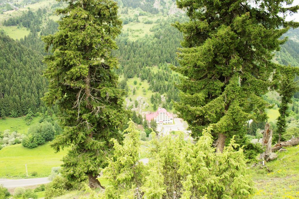 Hotel Green Valley Savsat 외부 사진