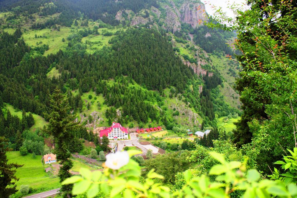 Hotel Green Valley Savsat 외부 사진