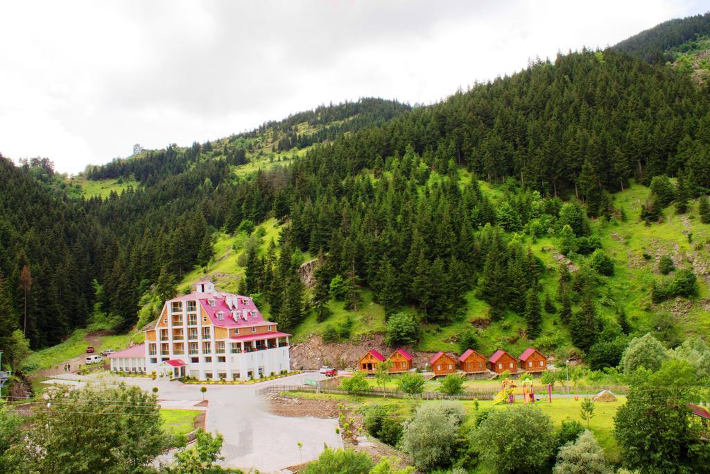 Hotel Green Valley Savsat 외부 사진