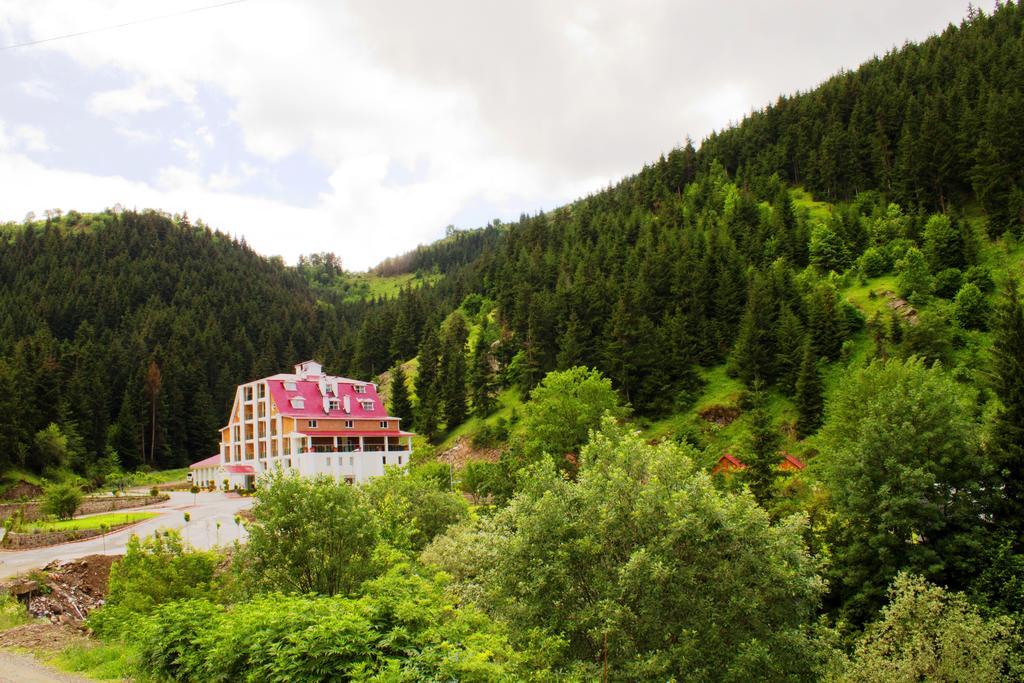 Hotel Green Valley Savsat 외부 사진