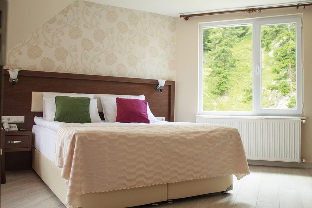 Hotel Green Valley Savsat 객실 사진