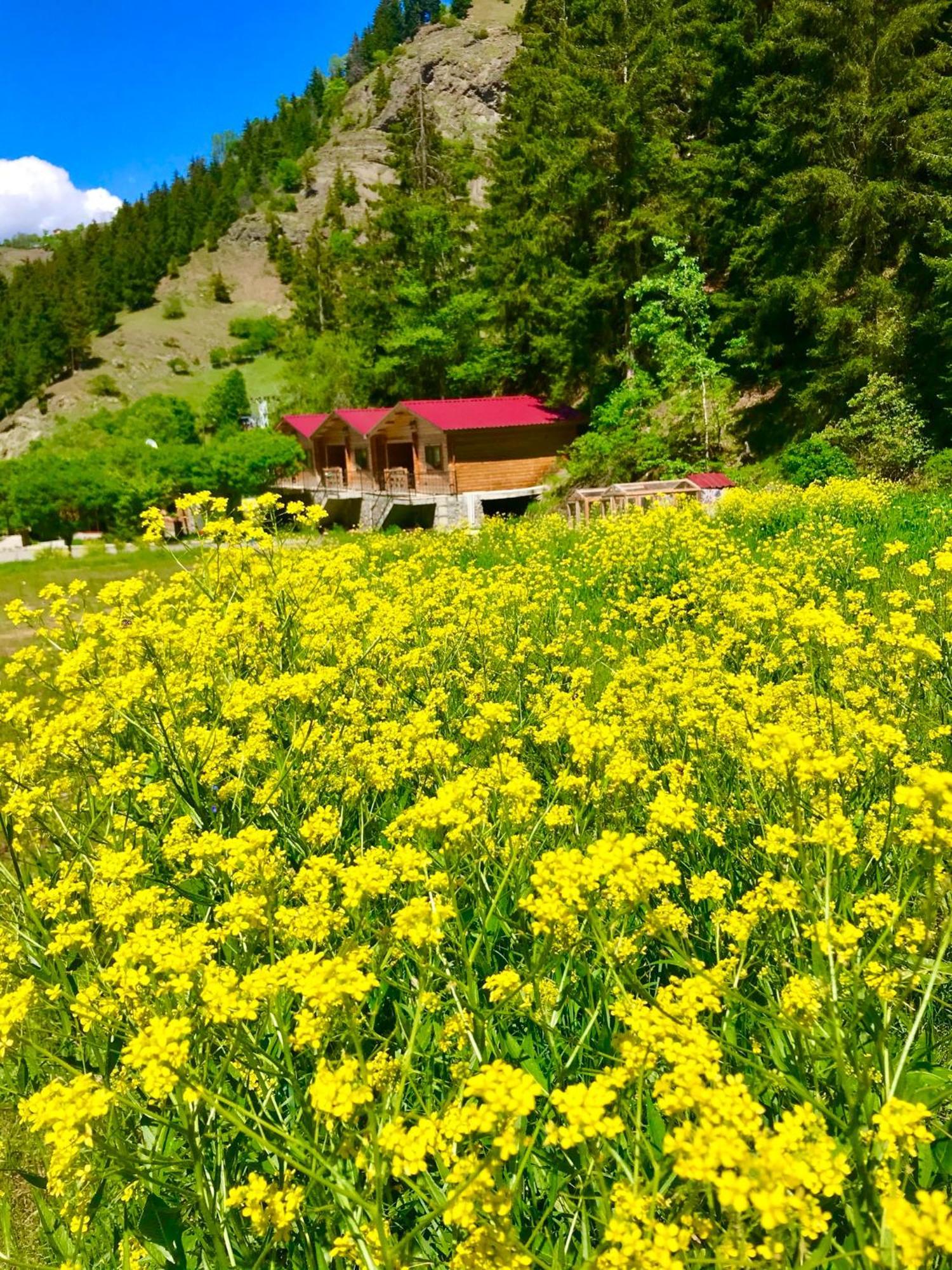 Hotel Green Valley Savsat 외부 사진